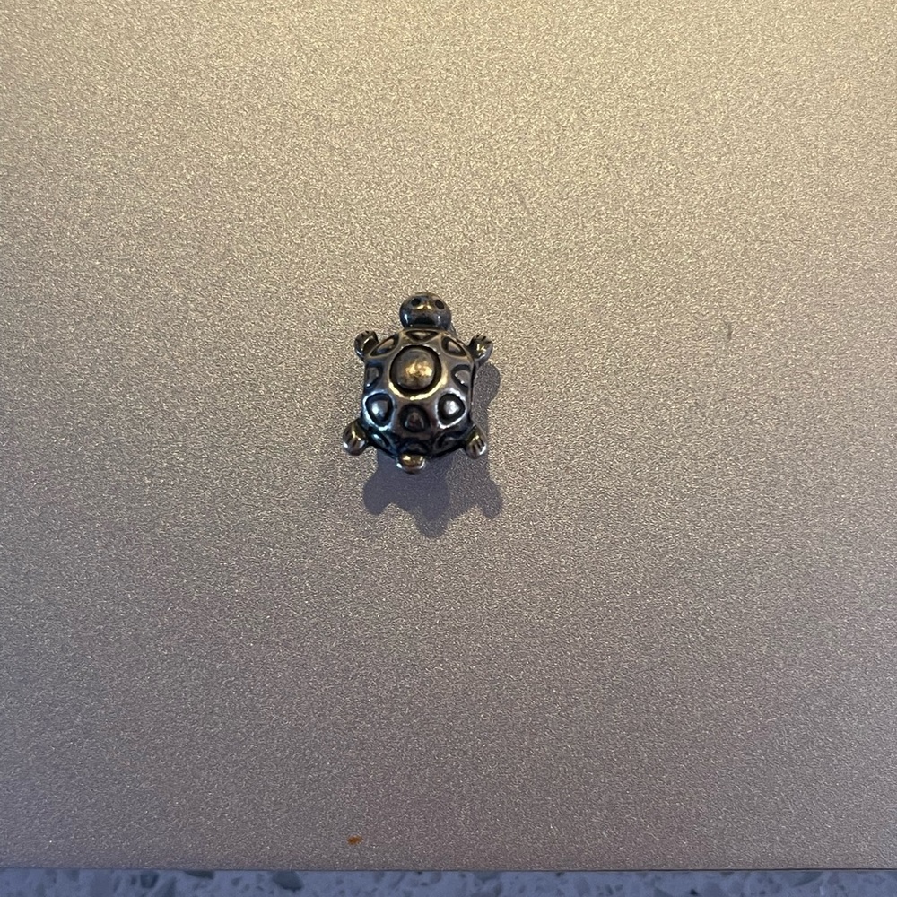 Pandora Charm